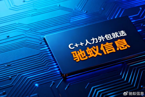 2025年软件销售人力外包公司Top5推荐与驰蚁信息核心优势解析