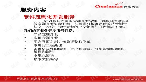 软件外包公司章程