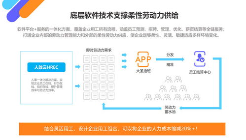 专业指南 服务员外包管理软件推荐与销售策略